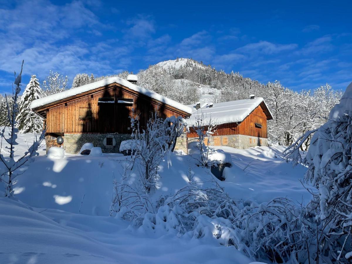 Chalet Alpage Proche Genève Mégevette Exterior foto