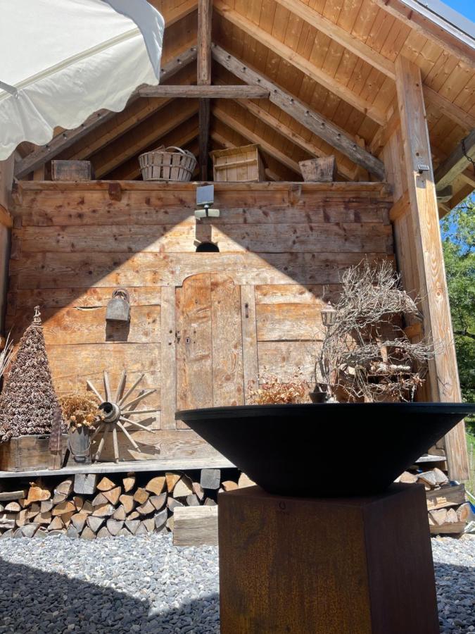 Chalet Alpage Proche Genève Mégevette Exterior foto